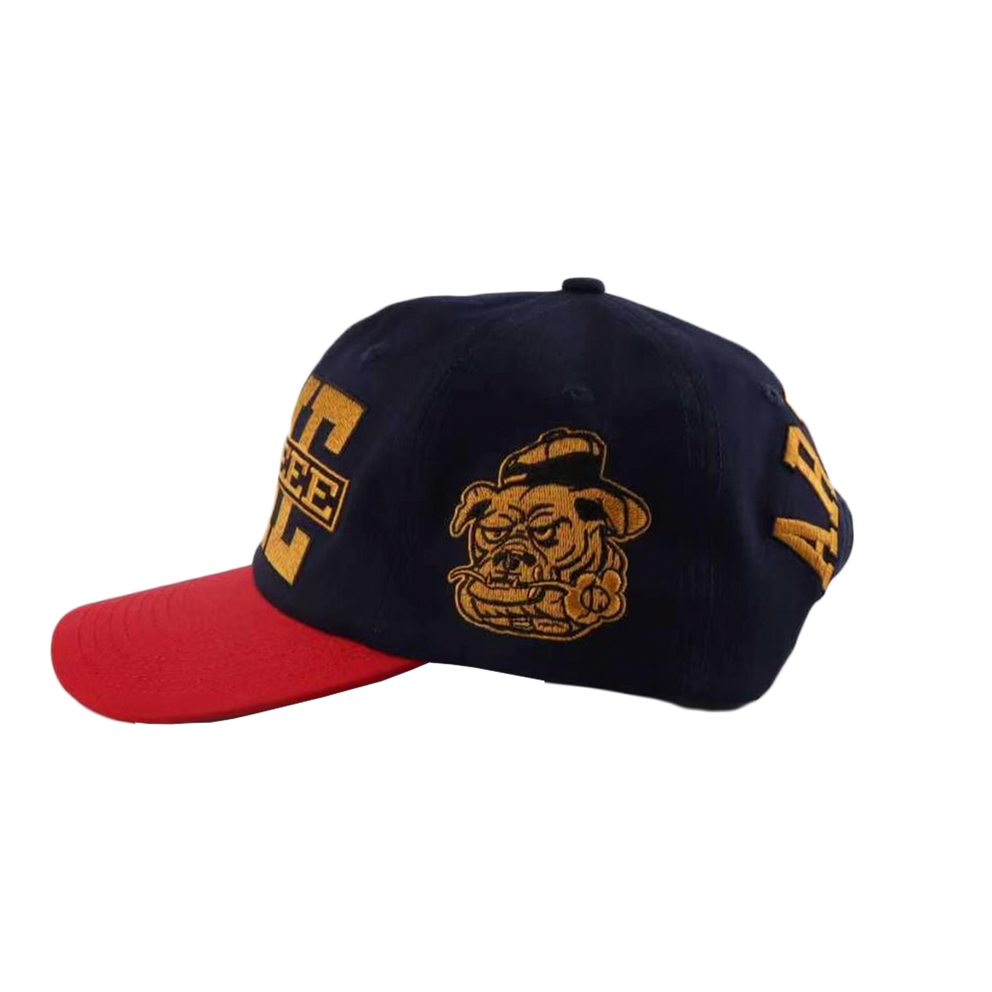 Vameeee Bulldog Snapback